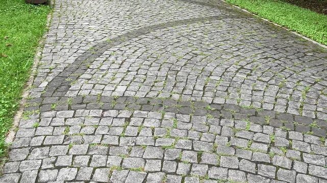 Cobblestone pavement with grass growing between the stones in a historic city park. Granite sett paving on a garden path creating a natural and old fashioned walkway