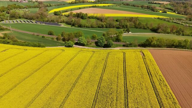 Traffic Moving on German Autobahn Beside Yellow Rapeseed Fields