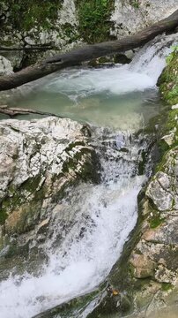 Scenic forest river flowing over rocky cascades and creating a beautiful natural waterfall amidst lush green moss covered stones in a serene mountain canyon