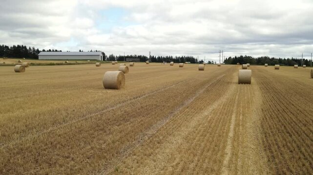 Low angle drone glide over crop stubble and straw bales in PEI, Canada