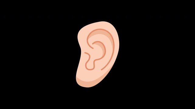human ear anatomy, healthcare