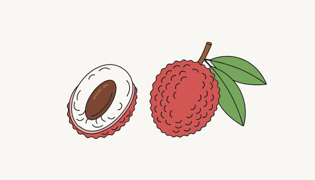 Fresh lychee fruit illustration showing a whole red textured fruit with green leaves alongside a peeled white half with a brown seed.