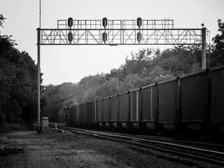 Black and white photo of a freight train passing beneath a steel signal bridge along tracks by trees © Donald