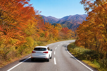 Obraz premium 秋 紅葉 ドライブ 旅行