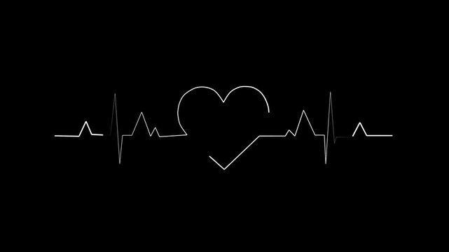 White heartbeat line animation pulses into a romantic heart. Healthcare pulse rate monitoring tracks with the heartbeat line. Medical cardiology concepts guide this vital heartbeat line.