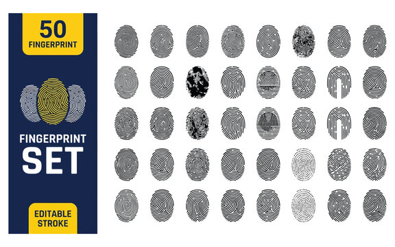 Fingerprint identification set with various biometric scan patterns for security and digital authentication designs.