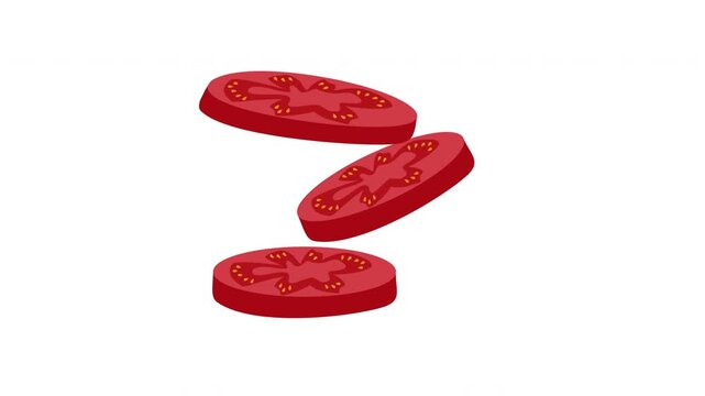 tomato slices vegetable illustration