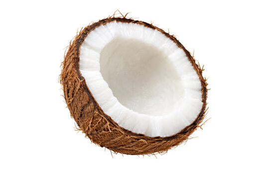 Halved mature coconut showing thick creamy flesh and a fibrous brown shell, isolated on a clean white background for tropical food, healthy eating, and culinary ingredient concepts.