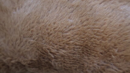 Brown faux fur texture background © ACE STEEL D