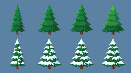 Green Coniferous Trees Collection with Snow Caps © Nasir