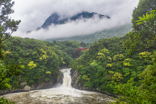 the roaring Toroki waterfall plunging into the sea, surrounded by lush green vegetation, and the red bridge over the Taino river