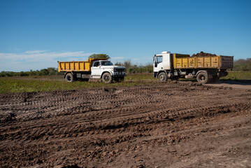 Two dump trucks parked on dirt terrain at earthmoving construction site © MatiasLeonel