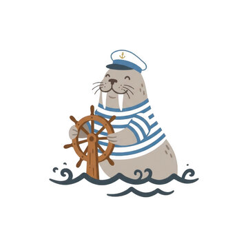 Cute walrus sailor in captain hat and striped shirt holding ship steering wheel on waves. Funny cartoon sea animal character on transparent
