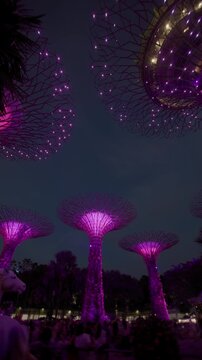 Light show at Gardens by the Bay Singapore. Tourist spots night light show in Asia.