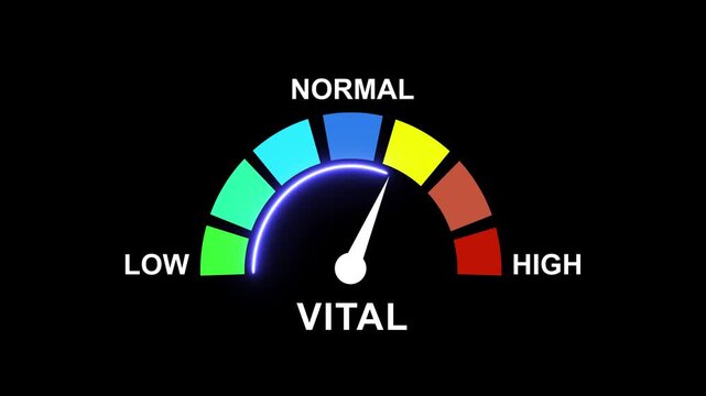 Vital signs gauge animation: dynamic health and performance status indicator with color-coded scale meter