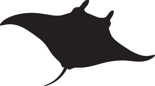 Elegant manta ray silhouette swimming through the ocean, representing marine wildlife, aquatic life, underwater nature, biodiversity, conservation, freedom, and ocean exploration