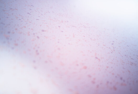 Pale pink light leak on the paint splatted wall backdrop