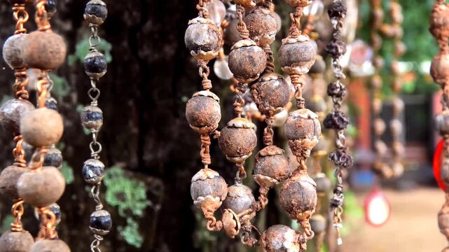 Rudraksha bead chains tied by devotees to a tree in a temple courtyard in Kerala, India