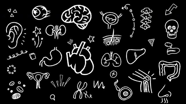 Hand drawn doodle graphics of internal human organs, anatomy, biology, and medical science symbols. Animated seamless loop video background in black and white.