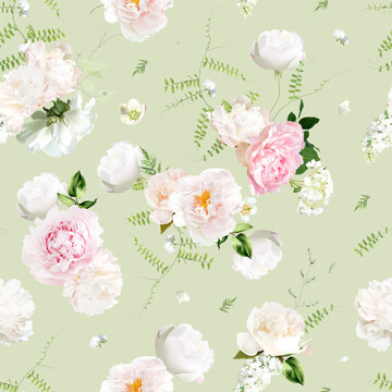 Pink, blush and white peony, green wispy sweet pea, sage greenery vector seamless spring pattern. Cut out soft and fluffy blooms. Floral summer watercolor print. Sage green backdrop for a nursery room