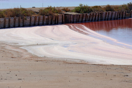 Sur le bord du marais salants