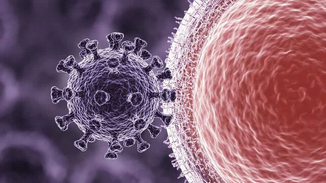 Virus particle slowly approaching and gently contacting the surface of one healthy human cell