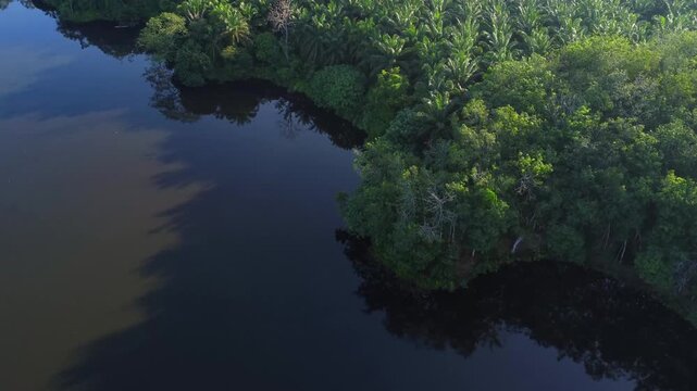 Aerial view of dark river winding through dense tropical jungle with lush green trees and calm water reflecting the sky in Langkat, North Sumatera, Indonesia.