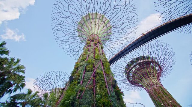 Stunning view of Gardens by the Bay in Singapore featuring modern skyline tropical park landscapes and iconic architecture in a vibrant Asian metropolis