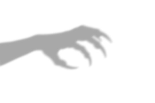 A dark scary shadow of a monster hand with sharp claws reaching out for something spooky and frightening isolated on a plain transparent