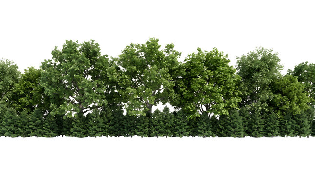 Row of green leafy trees and bushes a with vegetation landscape environment perennial deciduous as transparent cutout