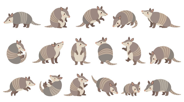 Set of cute armadillo characters in various poses and actions isolated on white background.