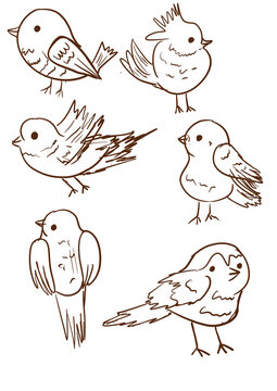 Set of cartoon birds in Autumn series, Linear collection of Animal brids icons. Animal birds icons set. Isolated on White background