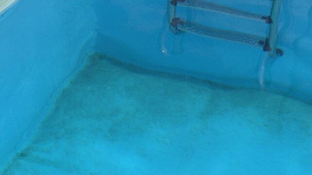 Zoom in shot of dirty swimming pool floor with green algae build-up near ladder needing maintenance