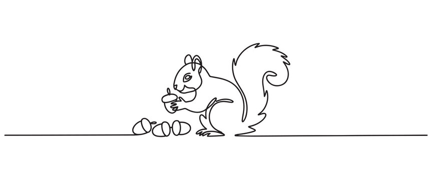 Minimalist Squirrel with Acorn in Continuous Line Art Style