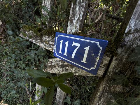 Blue enamel house number plate 1171 on a wooden entrance gate covered in ivy, Gers, Saint Georges, France