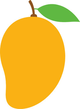 Bright yellow mango fruit illustration isolated on transparent background