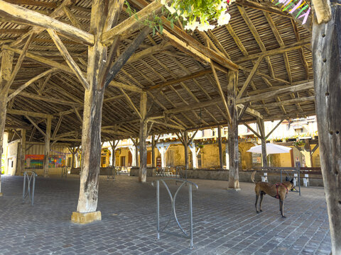 Dog standing beneath the timber roof structure of the old covered market hall, Gers, Bassoues, France