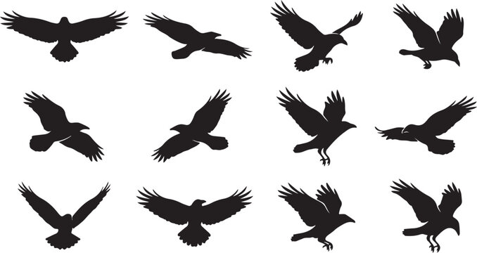Collection of black silhouettes depicting crows or ravens in various flying and landing poses isolated on a white background