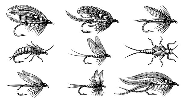 Antique Angling Hook and Fly Bait Collection Featuring Victorian Feather Lures, Salmon Flies, Trout Nymphs and Fishing Accessories