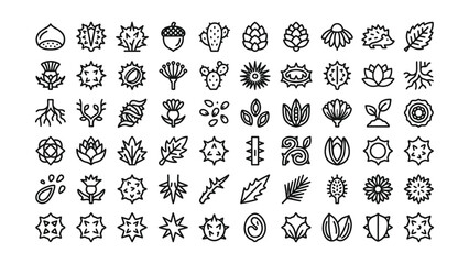 Fototapeta premium Collection of Minimalist Line Art Botanical Icons Featuring Various Plants Flowers and Seeds on Transparent Background
