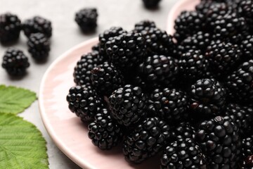 Many fresh blackberries and green leaves on grey table, closeup © New Africa