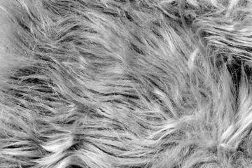 Obraz premium Transparent fur png texture collage element