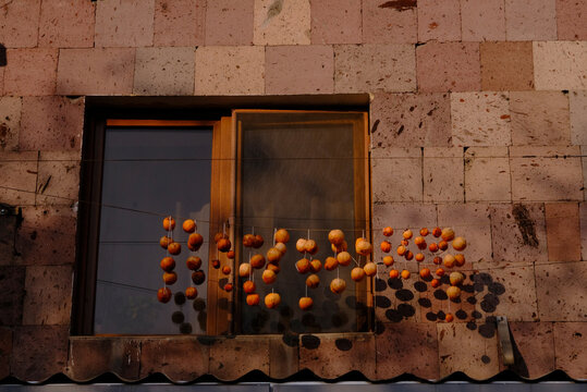 Sun-Dried Fruits on Pink Tuff