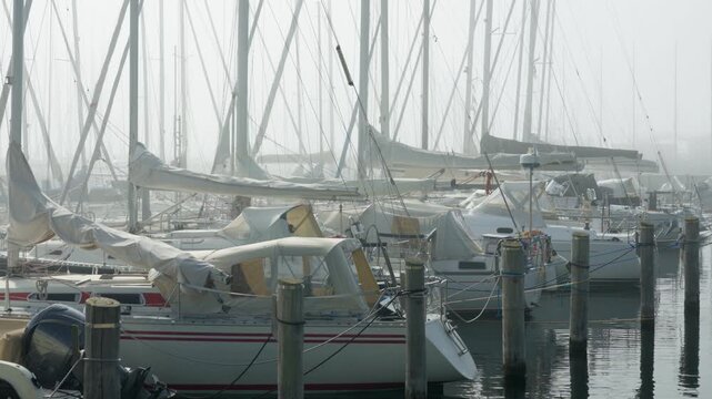Sailboats rest at wooden marina pilings under protective canvas covers in dense morning fog. Quiet harbor dockage offers boat storage and seasonal maintenance during overcast maritime weather.