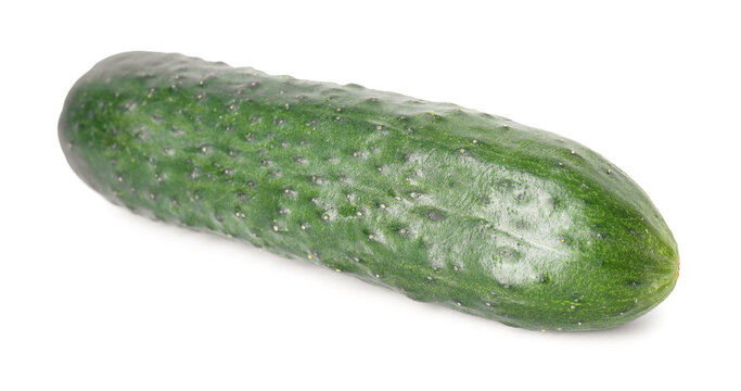 One fresh ripe cucumber isolated on white