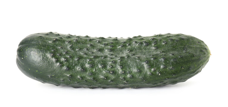 One fresh ripe cucumber isolated on white