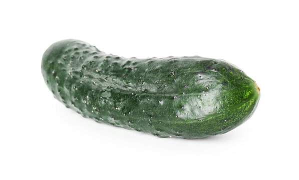 One fresh ripe cucumber isolated on white