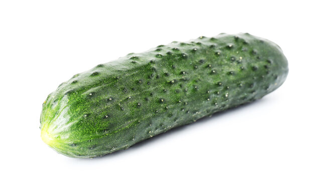 One fresh ripe cucumber isolated on white