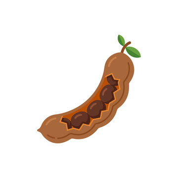 Tamarind fruit icon vector illustration isolated on white background