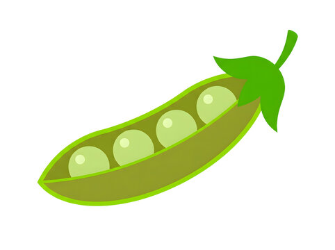 Fresh green pea pod with peas inside isolated on transparent background